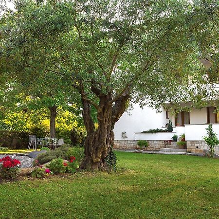 Hotel Casa Mareva Poreč Exterior foto